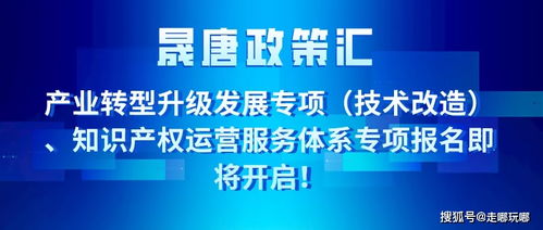 晟唐孵化器 產(chǎn)業(yè)轉(zhuǎn)型升級發(fā)展專項 知識產(chǎn)權(quán)運營服務(wù)體系專項報名即將開始